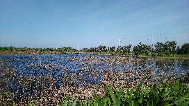 Aogu Wetland