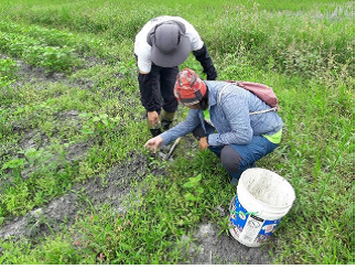 Help landlords test the soil. Cooperate with the Hualien District Agricultural Research and Extension Station to underst...