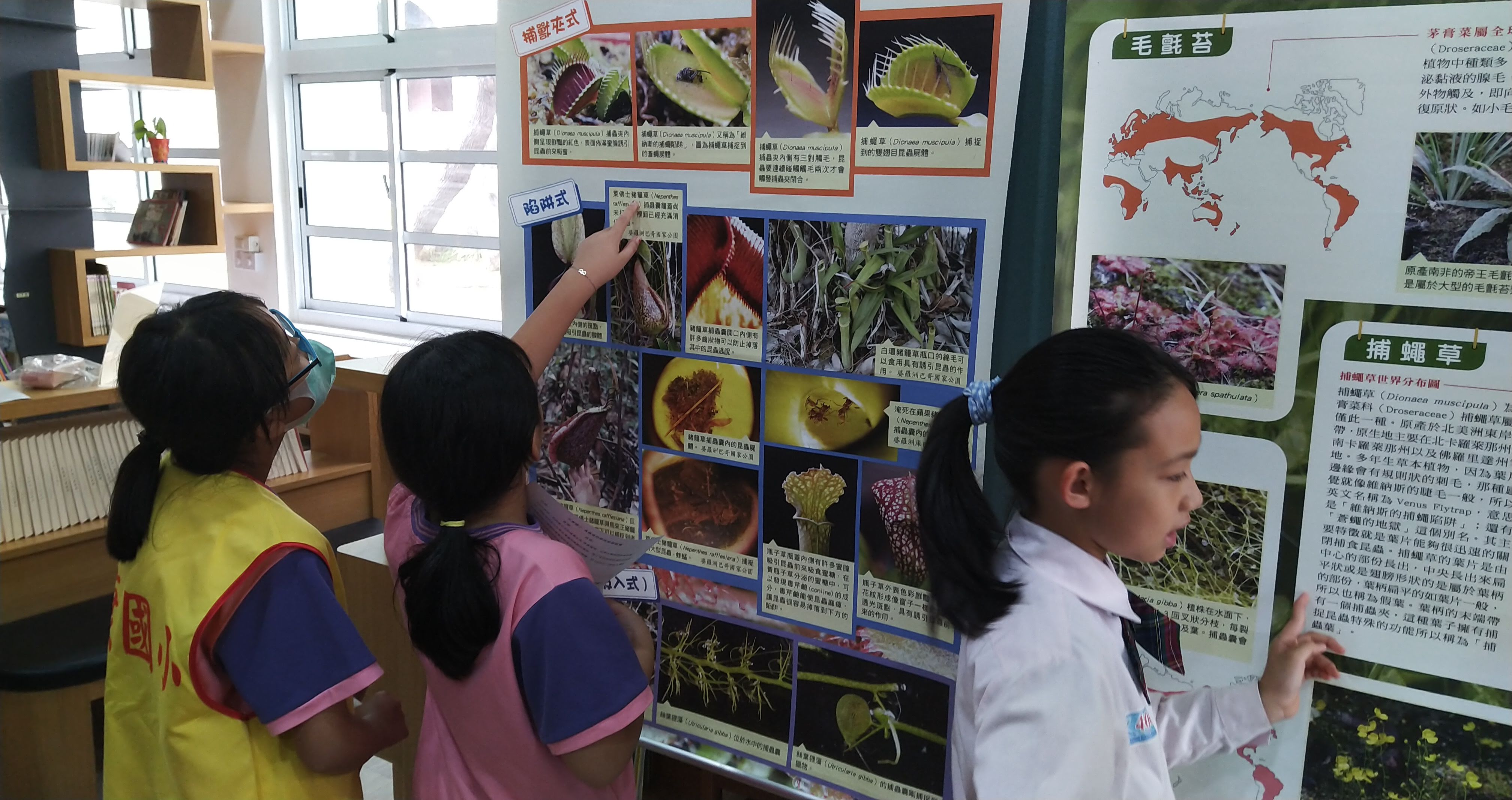 臺灣原生食蟲植物巡迴展