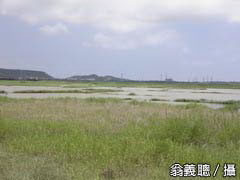 湖泊四周為水稻、旱田、樹林、魚塭等多樣的生態環境
