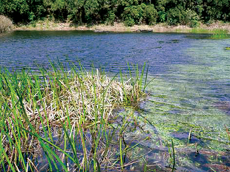 Menghuan Lake Important Wetland