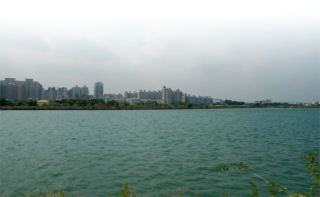 Taoyuan's Reservoir and Canal Important Wetland