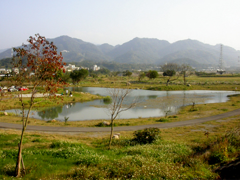 Ecological Park of Toucian River