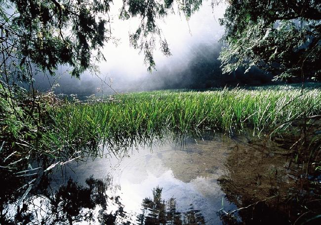Yuanyang Lake Important Wetland