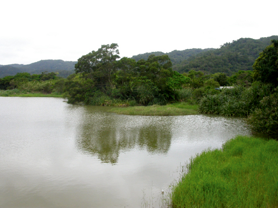 Dongyuan Wetland