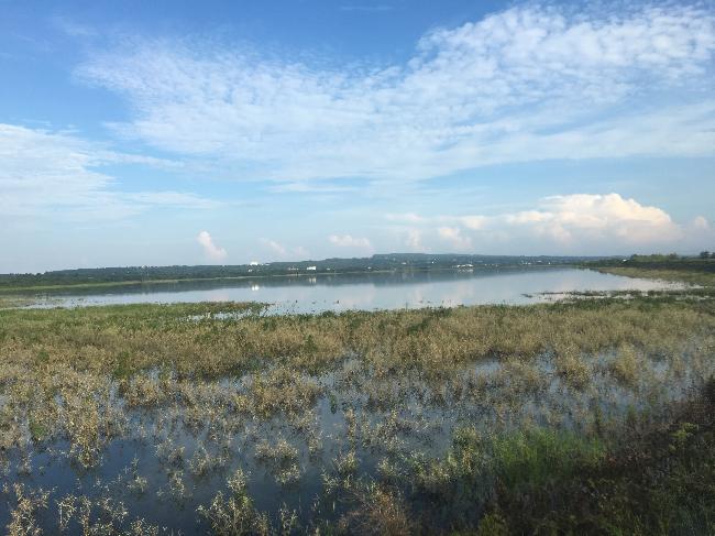 Longluan Lake Important Wetland