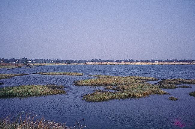 Cih Lake Important Wetland