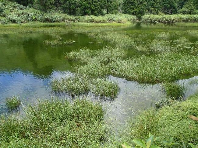Menghuan Lake Important Wetland