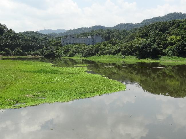 Nangang 202 Arsenal and Periphery Important Wetland