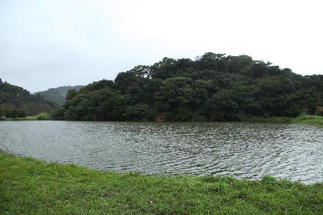 Nangang 202 Arsenal and Periphery Important Wetland