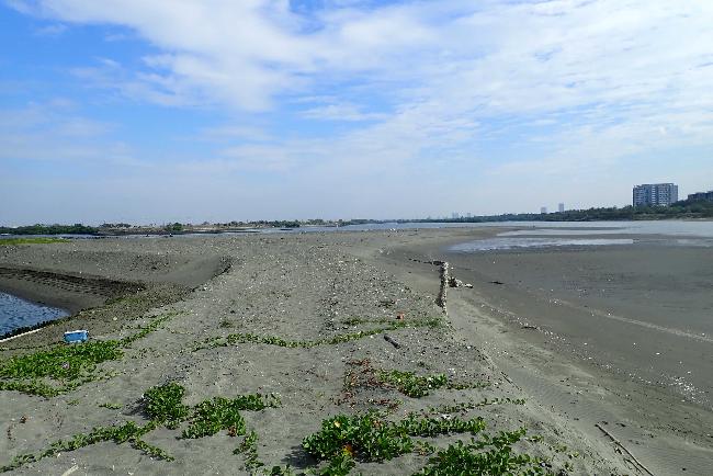 Yanshuei Estuary Important Wetland