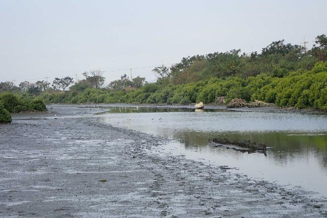 Yanshuei Estuary Important Wetland