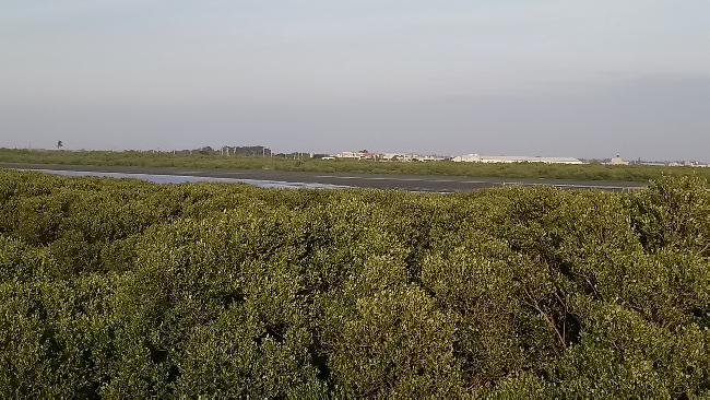 Puzih Estuary Important Wetland