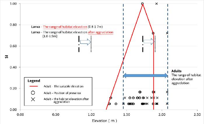 Elevation suitability and habitat changes of Mortonagrion hirosei