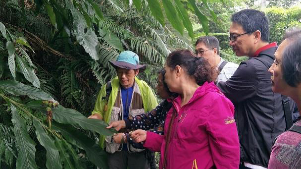 2019/04/20 Volunteer Growth Course-Observing Insects in Neiliao Important Wetland
