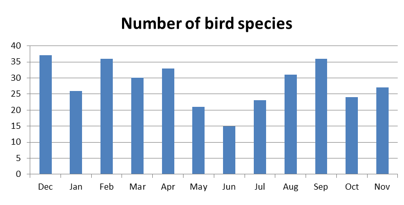 Species richness per month