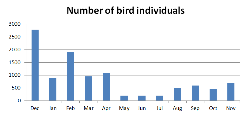 Individual bird count per month